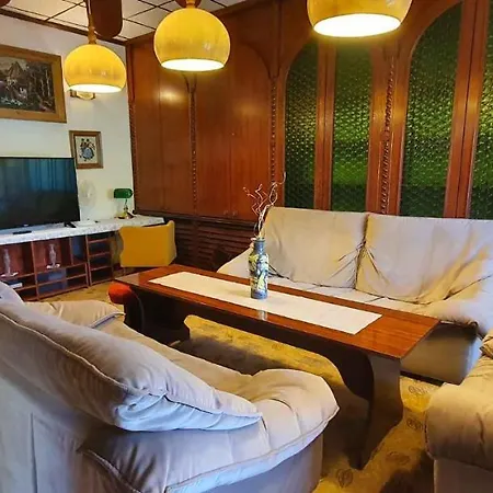 Apartment In 33542